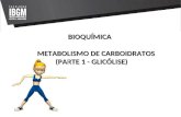 BIOQUÍMICA METABOLISMO DE CARBOIDRATOS METABOLISMO DE CARBOIDRATOS (PARTE 1 - GLICÓLISE)