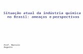 Situação atual da indústria química no Brasil: ameaças e perspectivas Prof. Marcelo Augusto.