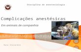 Complicações anestésicas Em animais de companhia Nuno Alexandre Disciplina de anestesiologia.