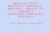 Hepatites Virais: Hepatite A, Hepatite B, Hepatite C, Hepatite D e Hepatite E Transmissão, Diagnóstico, Profilaxia Profa. Alessandra Xavier Pardini.
