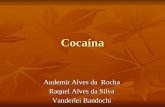 Cocaína Audemir Alves da Rocha Raquel Alves da Silva Vanderlei Bandochi.