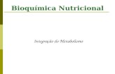 Bioquímica Nutricional Integração do Metabolismo.