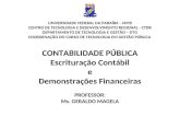 CONTABILIDADE PÚBLICA Escrituração Contábil e Demonstrações Financeiras PROFESSOR: Ms. GERALDO MAGELA UNIVERSIDADE FEDERAL DA PARAÍBA - UFPB CENTRO DE.