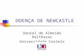 DOENÇA DE NEWCASTLE Daniel de Almeida Balthazar Universidade Castelo Branco.