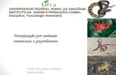 Intoxicação por animais venenosos e peçonhentos Profa. Ana Sílvia S. Ribeiro ISARH/UFRA UNIVERSIDADE FEDERAL RURAL DA AMAZÔNIA INSTITUTO DA SAÚDE E PRODUÇÃO.
