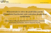 UNIVERSIDADE TECNOLÓGICA FEDERAL DO PARANÁ Campus Pato Branco Biocontrole in vitro da podridão parda (Monilinia fructicola) com extratos de plantas medicinais.