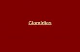 Clamídias. ChlamidiaceaeFamilia: Chlamidiaceae Clamydia trachomatisClamydia trachomatis “ psitacci “ psitacci “ pneumoniae “ pneumoniae “ pecorum “ pecorum.
