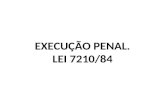 EXECUÇÃO PENAL. LEI 7210/84. Princípios de Execução Penal.