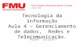 Tecnologia da informação Aula 4 – Gerenciamento de dados, Redes e Telecomunicação. Profº Erich.