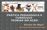 ''4578uy5dwq'a 0==9 PRÁTICA PEDAGÓGICA E CURRÍCULO TEORIAS EM AÇÃO Silvana De Negri Silvana De Negri.