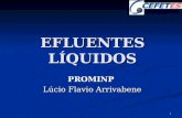 1 EFLUENTES LÍQUIDOS PROMINP Lúcio Flavio Arrivabene Lúcio Flavio Arrivabene.