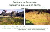 Seqüestro de Carbono no ARBORETO 500 ANOS DO BRASIL Guenji Yamazoe Luis Alberto Bucci Marcelo Augusto Bonucci A Origem Instalado em 21 de setembro de 2000.