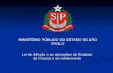 MINISTÉRIO PÚBLICO DO ESTADO DE SÃO PAULO Lei de Adoção e as alterações do Estatuto da Criança e do Adolescente.