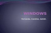 Fernanda, Caroline, Adriéli.. Introdução: Antes do lançamento do Windows, sistema operacional mais utilizado no mundo, os softwares eram bem diferentes.