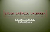 INCONTINÊNCIA URINÁRIA Rachel Trinchão Schneiberg.