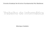Escola Estadual de Ensino Fundamental Rui Barbosa Monique Galatto.