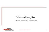 Sistemas Operacionais1 Virtualização Profa. Priscila Facciolli.