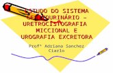 ESTUDO DO SISTEMA GENITOURINÁRIO – URETROCISTOGRAFIA MICCIONAL E UROGRAFIA EXCRETORA Profª Adriana Sanchez Ciarlo.