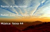 Texto: A imensidão Autor: Luiz Gonzaga Pinheiro Música: faixa 44.