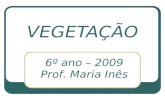 VEGETAÇÃO 6º ano – 2009 Prof. Maria Inês. AS FORMAÇÕES VEGETAIS DO BRASIL Em razão de sua localização geográfica e da combinação dos vários elementos.