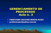 GERENCIAMENTO DE PROCESSOS Aula n. 3 CRISTIANE CECCHIN MONTE RASO profecmraso@yahoo.com.br.