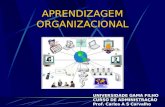 APRENDIZAGEM ORGANIZACIONAL UNIVERSIDADE GAMA FILHO CURSO DE ADMINISTRAÇÃO Prof. Carlos A S Carvalho.