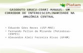 GASODUTO URUCU-COARI-MANAUS: UM CORREDOR DE INTERDISCIPLINARIDADE NA AMAZÔNIA CENTRAL Eduardo Góes Neves (USP-MAE) Fernando Pellon de Miranda (Petrobras-CENPES)
