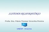 SISTEMA RESPIRATÓRIO Profa. Dra. Flávia Thomaz Verechia Pereira UNESP - Dracena.