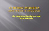 Os representantes e sua importância.  Bactéria(do grego bakteria = bastão), foram observadas pela primeira vez por Antonie van Leeuwenhoek(1632-1723),