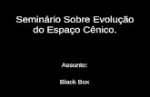 Seminário Sobre Evolução do Espaço Cênico. Assunto: Black Box.