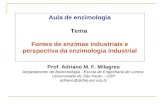 Aula de enzimologia Tema Fontes de enzimas industriais e perspectiva da enzimologia industrial Prof. Adriane M. F. Milagres Departamento de Biotecnologia.
