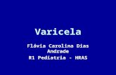 Varicela Flávia Carolina Dias Andrade R1 Pediatria - HRAS.