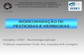 UNIVERSIDADE ESTADUAL DE CAMPINAS CENTRO SUPERIOR DE EDUCAÇÃO TECNOLÓGICA TECNOLOGIA EM SANEAMENTO AMBIENTAL Disciplina: ST037 - Microbiologia Aplicada.