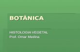 BOTÂNICA HISTOLOGIA VEGETAL Prof. Omar Medina. Caule  Órgão originado do caulículo do embrião  Possuem forma e tamanhos extremamente variáveis  Geralmente.