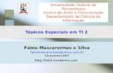 Fábio Mascarenhas e Silva fabiomascarenhas@yahoo.com.br 22novembro2007 Universidade Federal de Pernambuco Centro de Artes e Comunicação Departamento de.