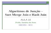 Algoritmos de Junção – Sort Merge Join e Hash Join AULA 18 Profa. Sandra de Amo GBC053 – BCC.