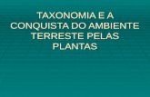 TAXONOMIA E A CONQUISTA DO AMBIENTE TERRESTE PELAS PLANTAS.