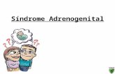 Síndrome Adrenogenital. Distúrbio presente no nascimento, caracterizado pela deficiência de cortisol e uma superprodução de andrógeno O que é: