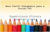 Novo Perfil Pedagógico para a Escola Paz Supervisora Elinara Paschoal Lopes.