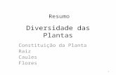 Diversidade das Plantas Constituição da Planta Raiz Caules Flores Resumo 1.