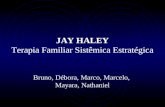 JAY HALEY Terapia Familiar Sistêmica Estratégica Bruno, Débora, Marco, Marcelo, Mayara, Nathaniel.