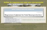 Apresentação:Roberto Faria- R3 UTI Pediátrica-HRAS/HMIB/SES/DF  Sulfato de magnésio pré-natal para neuroproteção J Obstet Gynaecol.