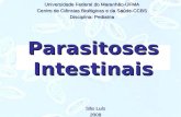 Parasitoses Intestinais Universidade Federal do Maranhão-UFMA Centro de Ciências Biológicas e da Saúde-CCBS Disciplina: Pediatria São Luís 2008.
