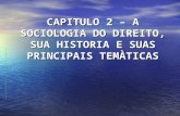 CAPITULO 2 – A SOCIOLOGIA DO DIREITO, SUA HISTORIA E SUAS PRINCIPAIS TEMÀTICAS.