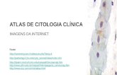 ATLAS DE CITOLOGIA CLÍNICA IMAGENS DA INTERNET Fonte  .