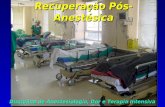 Recuperação Pós-Anestésica Disciplina de Anestesiologia, Dor e Terapia Intensiva.