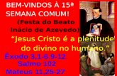 BEM-VINDOS À 15ª SEMANA COMUM! (Festa do Beato Inácio de Azevedo) “Jesus Cristo é a plenitude do divino no humano.”