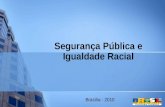 Segurança Pública e Igualdade Racial Brasília - 2010.
