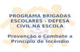 PROGRAMA BRIGADAS ESCOLARES - DEFESA CIVIL NA ESCOLA Prevenção e Combate a Princípio de Incêndio.