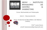 IBGM – INSTITUTO BRASILEIRO DE GESTÃO & MARKETING Curso: Bacharelado em Fisioterapia Aula 2 – Neuroanatomia Tema: Anatomia do Diencéfalo e do Sistema Límbico.